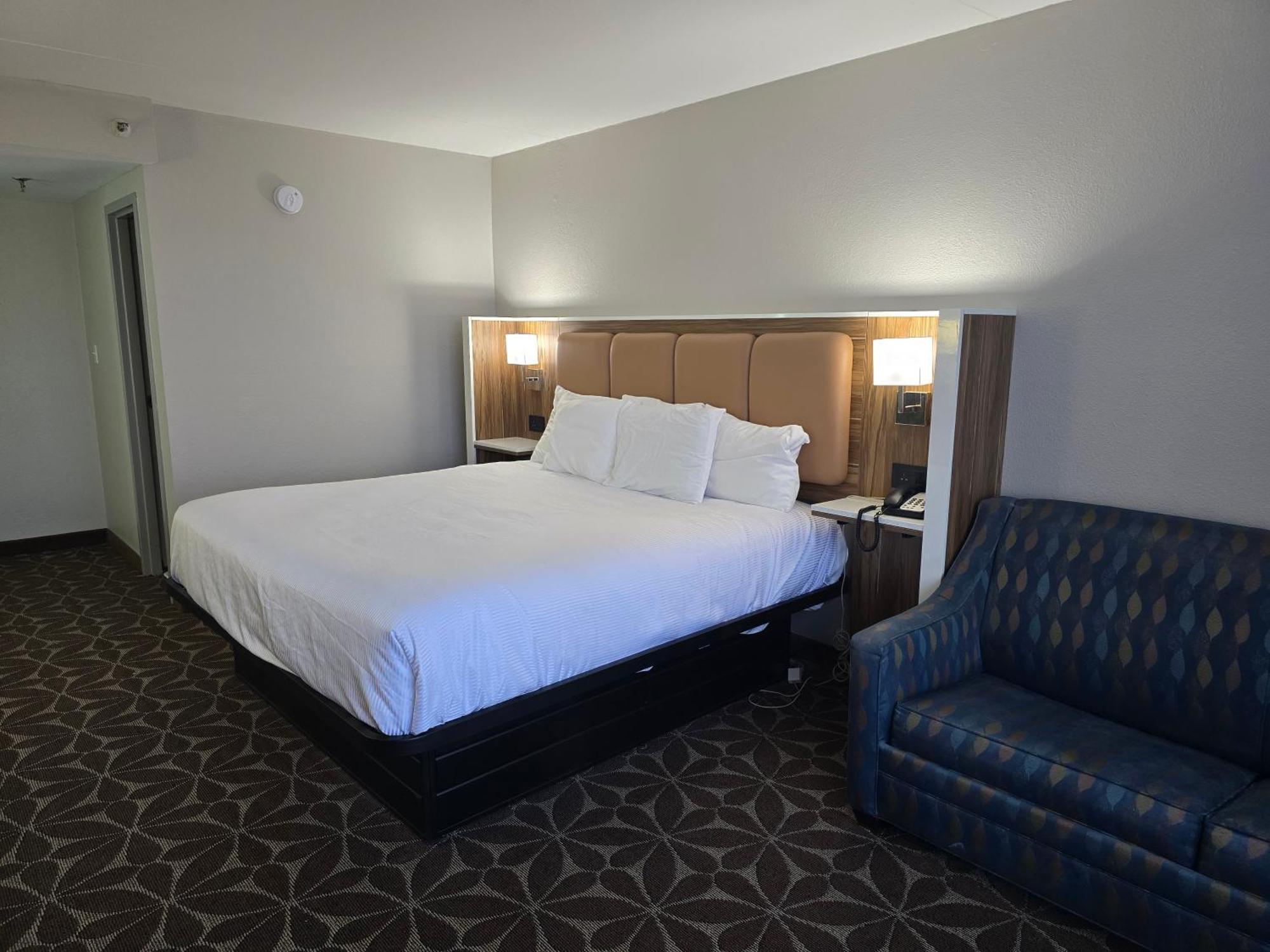 Hotel Wyndham Garden Williamsburg Busch Gardens Area Esterno foto