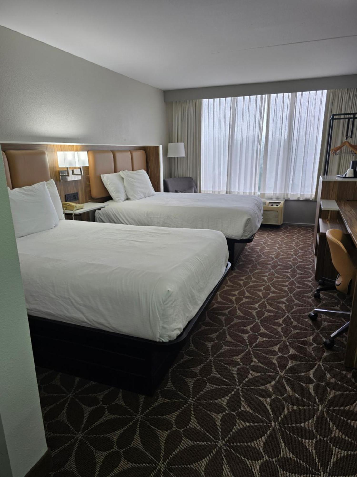 Hotel Wyndham Garden Williamsburg Busch Gardens Area Esterno foto